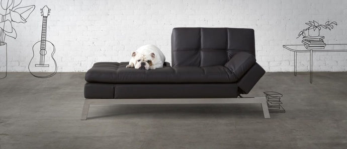 why you shouldn’t get off the couch for the next three months