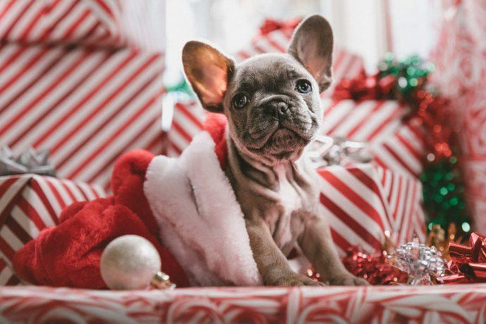 6 tips to become the best host this holiday season