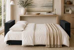 Switch Queen Sleeper Sofa